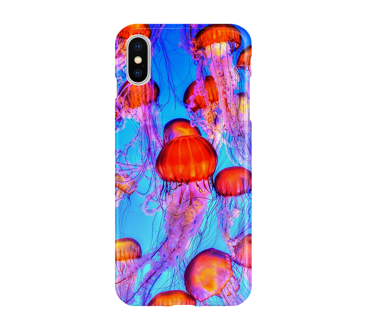 Jellyfish - Late Model